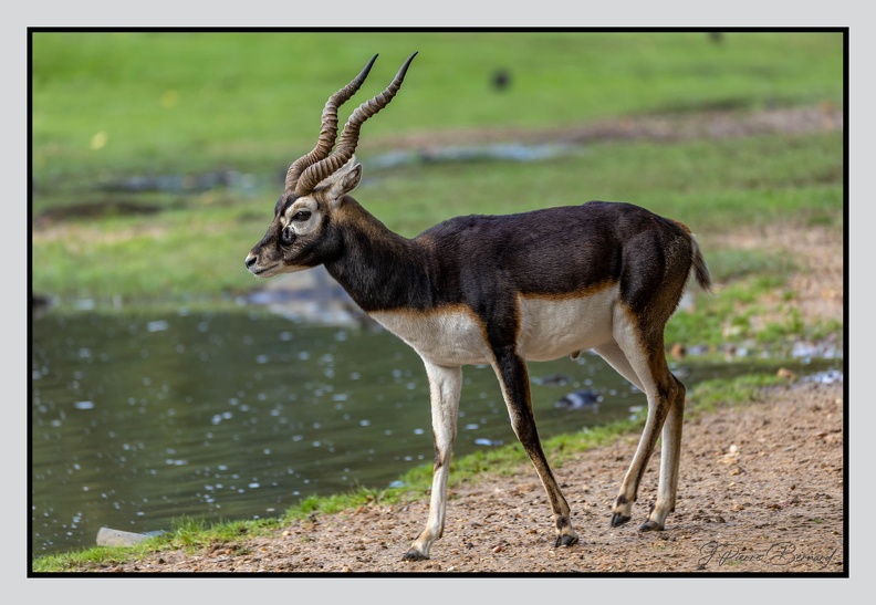 LaFleche 2024-09-26 0060