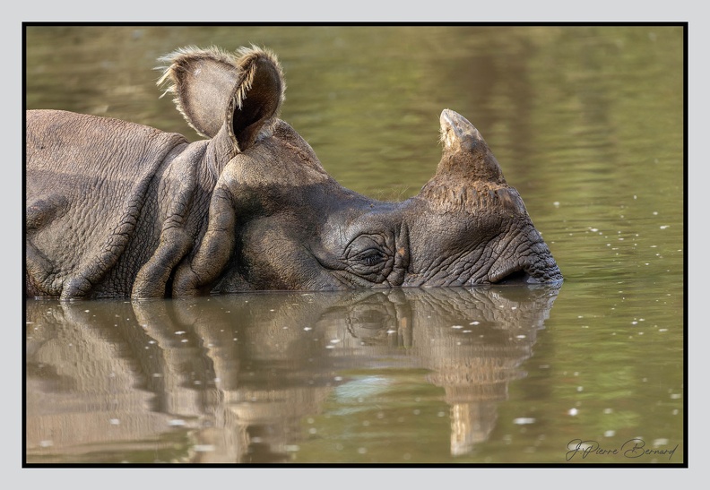 LaFleche 2024-09-26 0071