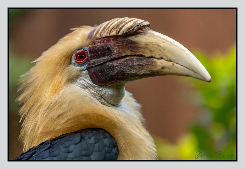 LaFleche 2024-09-26 0140