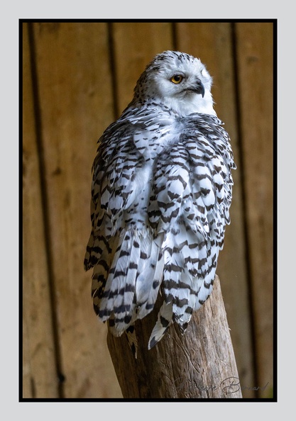 LaFleche 2024-09-26 0156