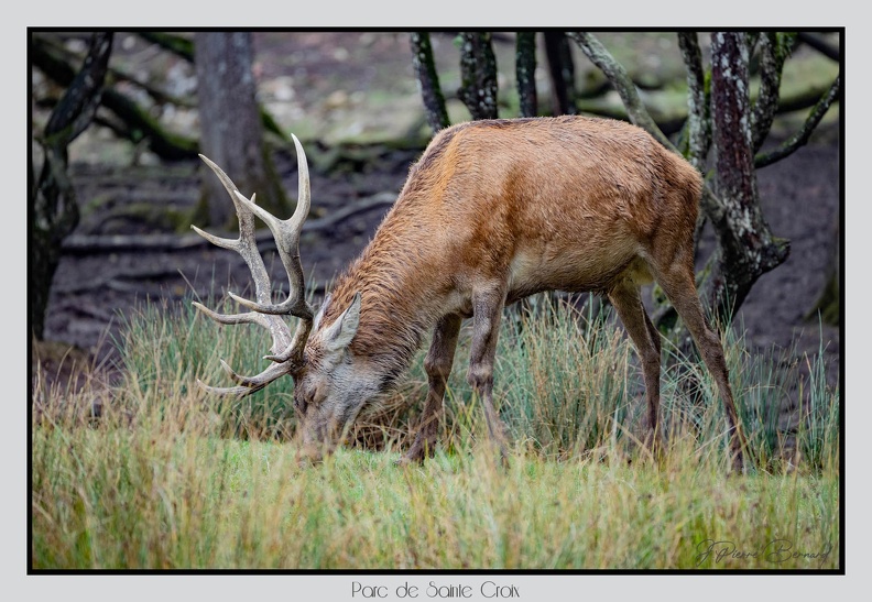 ParcDeSainteCroix 24-09-06 0040