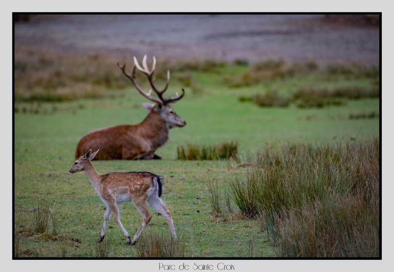 ParcDeSainteCroix 24-09-06 0045