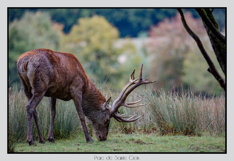 ParcDeSainteCroix 24-09-06 0053