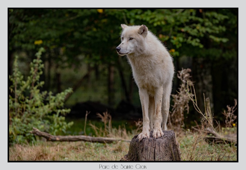 ParcDeSainteCroix 24-09-06 0059