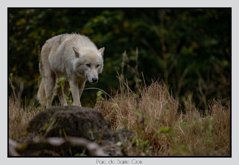 ParcDeSainteCroix 24-09-06 0071