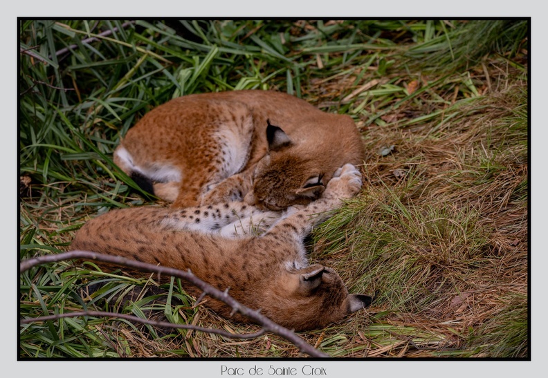 ParcDeSainteCroix 24-09-06 0081