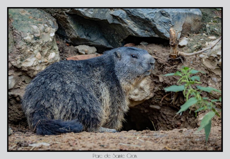 ParcDeSainteCroix 24-09-06 0085
