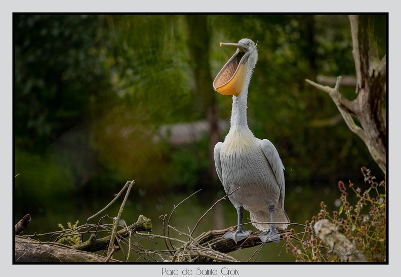 ParcDeSainteCroix 24-09-06 0108