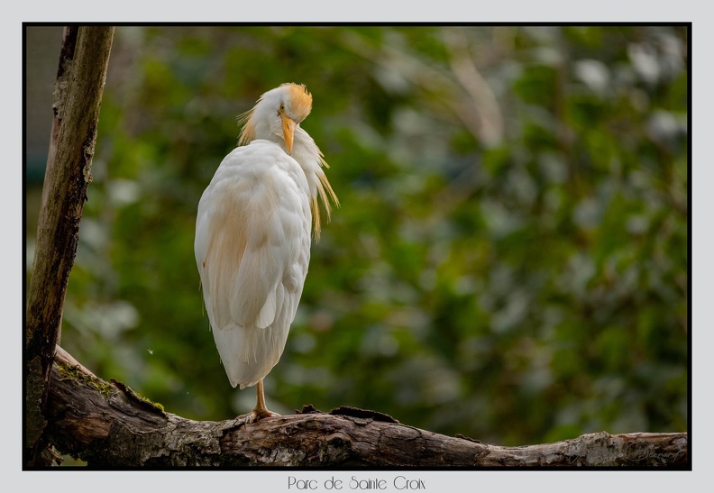 ParcDeSainteCroix 24-09-06 0123
