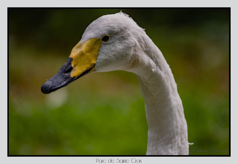 ParcDeSainteCroix 24-09-06 0146