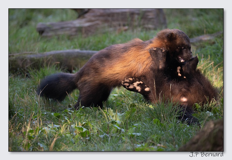 SainteCroixAout23 23-08-30 0138