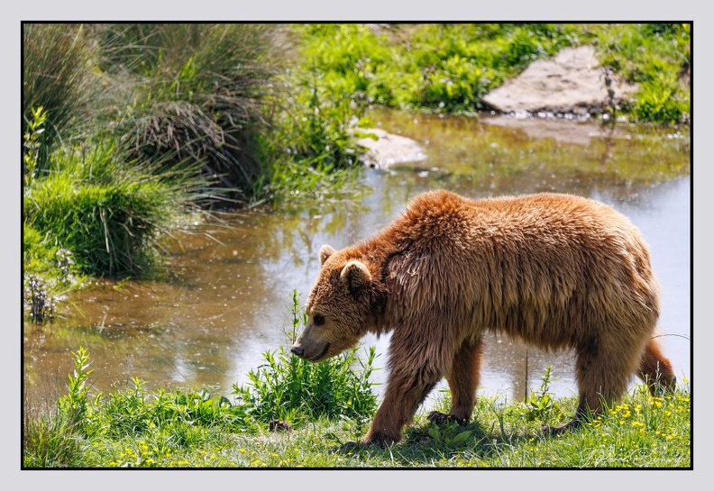 Pairi Daiza 25-05-16 0122