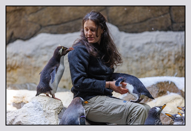 Pairi Daiza 25-05-16 0389