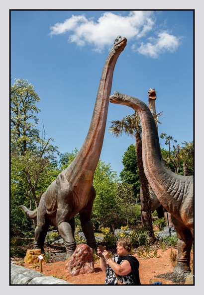 Pairi Daiza 25-05-16 1302