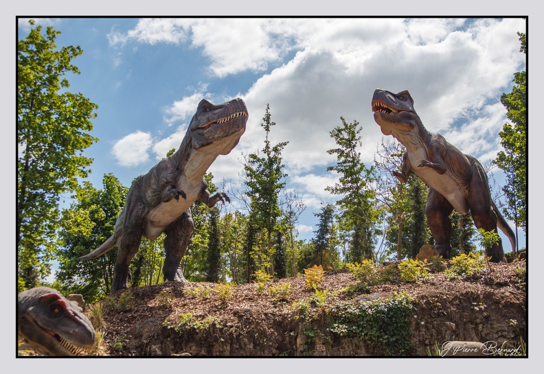 Pairi Daiza 25-05-16 1308