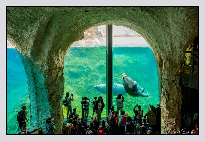 Pairi Daiza 25-05-17 1480