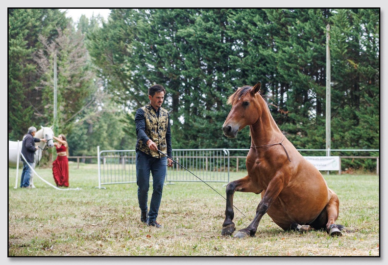 StMeardAout25 25-08-31 0314