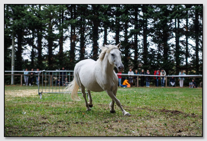 StMeardAout25 25-08-31 0315