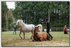 StMeardAout25 25-08-31 0322 (326 visites) StMeardAout25 25-08-31 0322