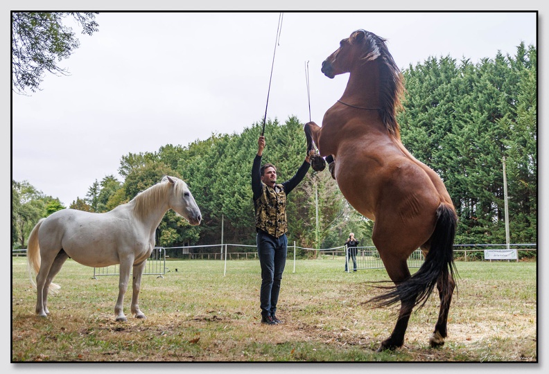 StMeardAout25 25-08-31 0339