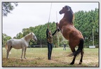 StMeardAout25 25-08-31 0339 (360 visites) StMeardAout25 25-08-31 0339
