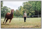 StMeardAout25 25-08-31 0370 (313 visites) StMeardAout25 25-08-31 0370