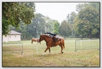 StMeardAout25 25-08-31 0483 (322 visites) StMeardAout25 25-08-31 0483